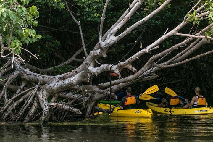 Night Kayaking Laguna Grande: Bioluminescent Bay Adventure in Fajardo photo 4