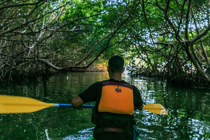 Night Kayaking Laguna Grande: Bioluminescent Bay Adventure in Fajardo photo 5