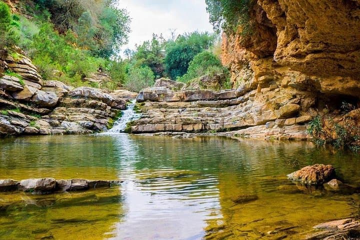 Ourika Valley Day Trip from Marrakech – Setti Fatma Waterfalls & Berber Village Experience photo 1