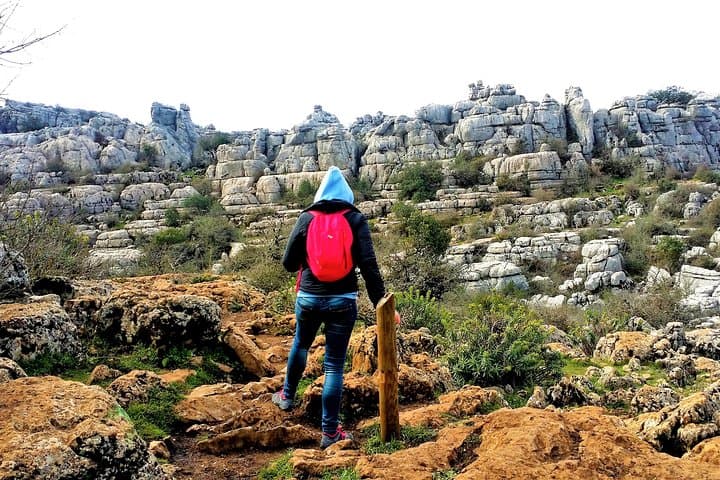 Hike El Torcal: Guided Karst Trail from Malaga or Marbella photo 6