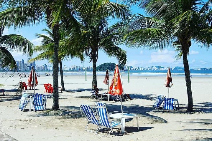 Full-Day Santos Sightseeing Tour from São Paulo: Coffee, Coast, and Tram Rides photo 3