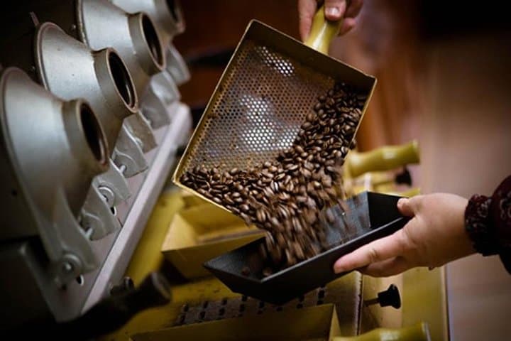 Britt Coffee Tour from San José: Plantation Walk, Roasting & Cupping Experience