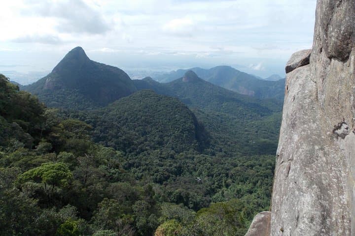 Bico do Papagaio Hike — Full-Day Tijuca Forest Trek & Almas Waterfall photo 5