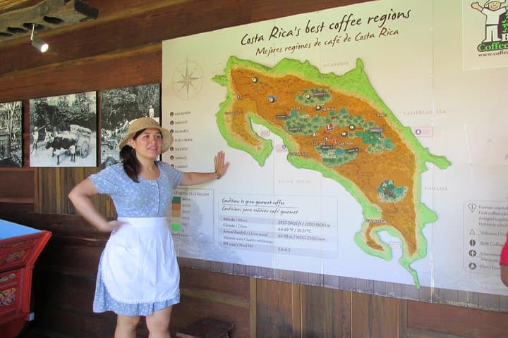Britt Coffee Tour from San José: Plantation Walk, Roasting & Cupping Experience photo 4
