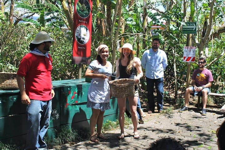 Britt Coffee Tour from San José: Plantation Walk, Roasting & Cupping Experience photo 5