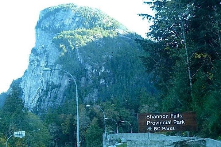 Private Vancouver Charter: 5-Hour Customized Minibus Tour of City Highlights photo 3