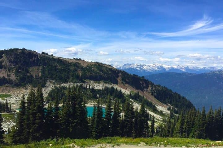 Vancouver Private Charter Tour: City and Nature in One Day with a Local Guide photo 6