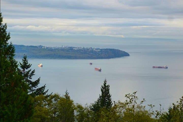 Vancouver Private Charter Tour: City and Nature in One Day with a Local Guide photo 5