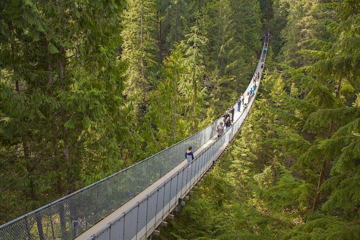Vancouver Highlights Private Tour with Capilano Suspension Bridge and Cypress Views