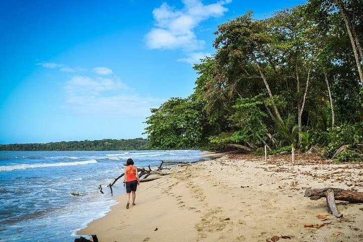 Cahuita & Tortuguero Canals Full-Day Tour from Puerto Limón — Rainforest, Canals & Coast photo 4