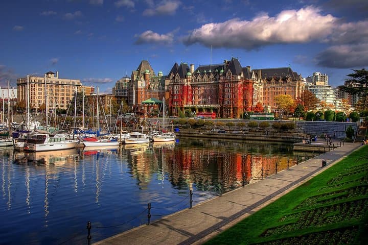 Paddle Victoria Harbour: Guided 3-Hour Kayak Tour to Gorge Waterway photo 6