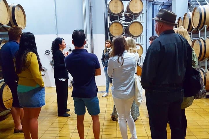 Cagliari Wine Road: Full-Day Private Winery Tour with Lunch photo 4