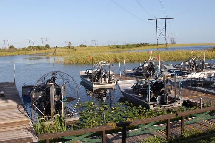 Explore the Everglades After Dark: Private Night Airboat Adventure in Florida photo 2