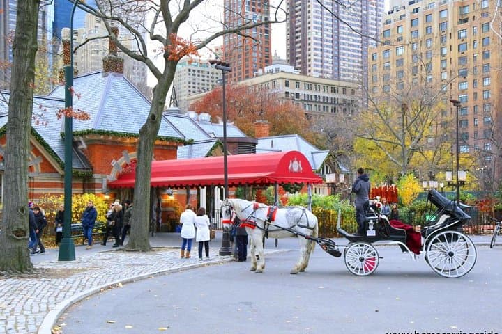 Central Park Horse Carriage Small Loop — 20-Min Iconic Ride Near The Plaza photo 3