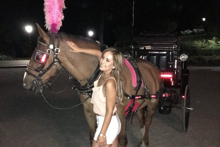 Central Park Horse Carriage Small Loop — 20-Min Iconic Ride Near The Plaza photo 4