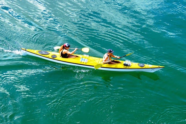 Self-Guided Middle Harbour Kayak Tour: 3-Hour Deluxe Double Kayak from Mosman