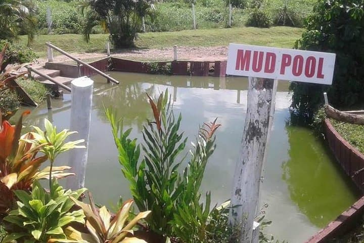 Garden of the Sleeping Giant & Sabeto Mud Pool Tour — Day Trip from Nadi photo 1