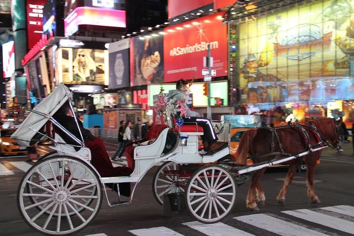 Central Park Private Horse Carriage Tour — 45-Minute Horse-Drawn Ride Through NYC photo 3