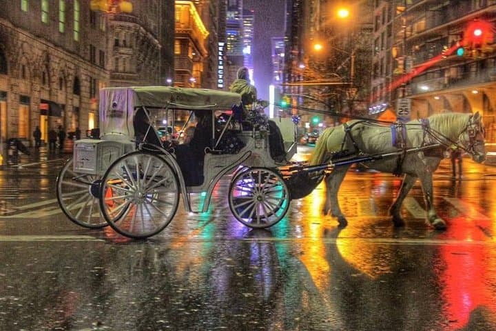 Central Park Private Horse Carriage Tour — 45-Minute Horse-Drawn Ride Through NYC photo 4