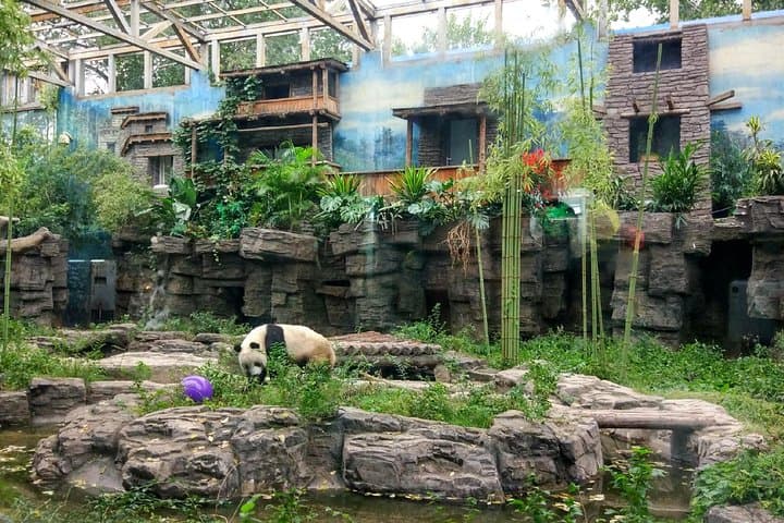 Custom Beijing Half-Day Tour — Private City or Great Wall Experience photo 2