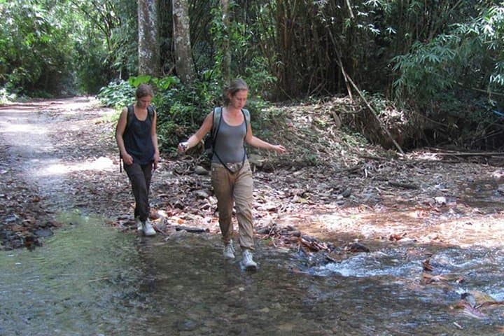 Pa-La-U Waterfall Full-Day Adventure from Hua Hin — Kaeng Krachan Rainforest Trek photo 4