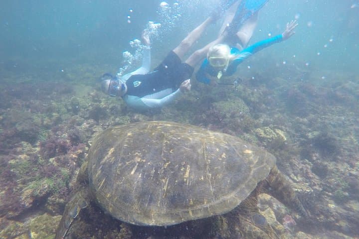 6-Day Galapagos Adventure: Snorkel Kicker Rock, Meet Giant Tortoises & Explore Twin Craters photo 5