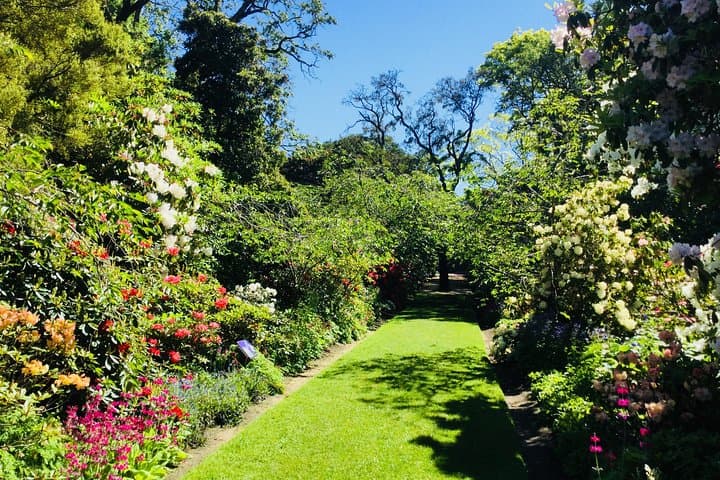 Dunedin Highlights: Otago Peninsula, Larnach Castle Gardens & Olveston Guided Shore Excursion photo 5