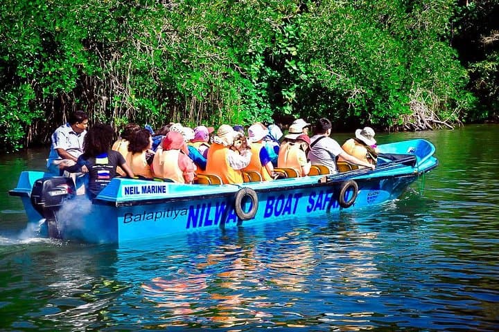Galle Day Trip and Madu River Mangrove Safari from Negombo photo 3