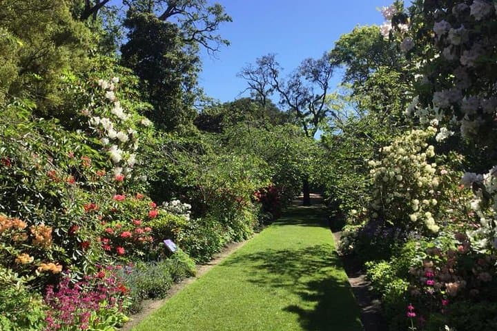 Half-Day Private Dunedin City & Otago Peninsula Scenic Tour photo 4