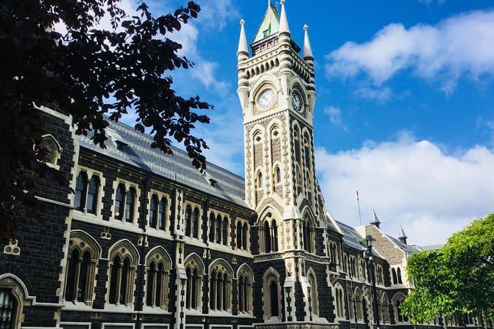 Half-Day Private Dunedin City & Otago Peninsula Scenic Tour photo 5