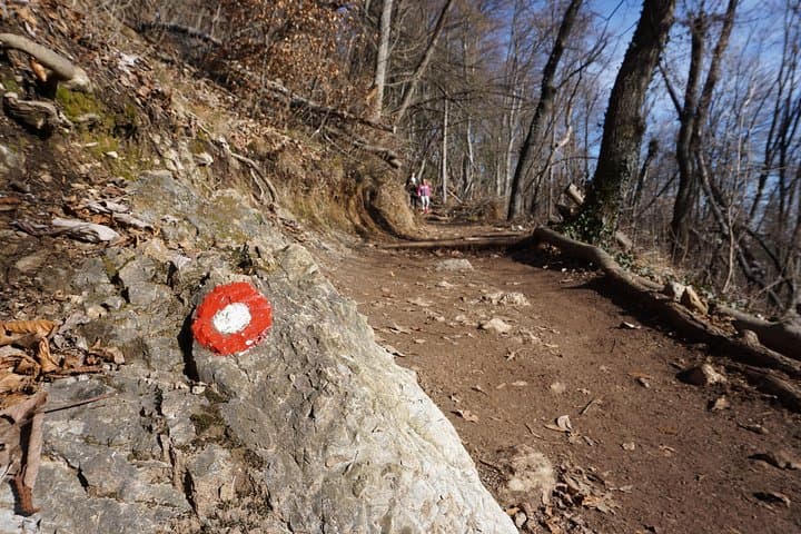 Hiking Šmarna Gora: Half-Day Hike Above Ljubljana photo 4