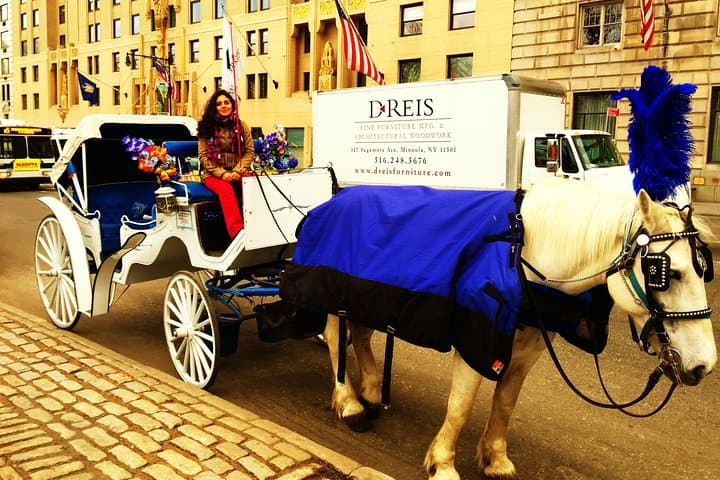 Central Park Horse Carriage Small Loop — 20-Min Iconic Ride Near The Plaza photo 2