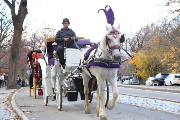 Central Park Horse Carriage Small Loop — 20-Min Iconic Ride Near The Plaza photo 1