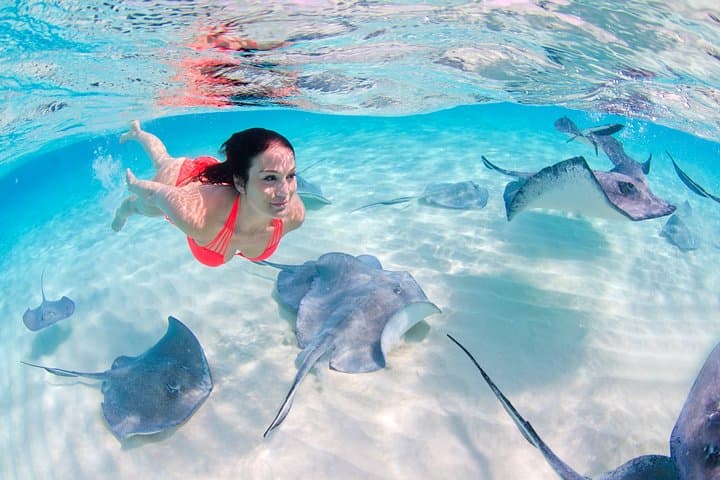 Dive into Adventure: Sharks & Stingrays Encounter in Punta Cana