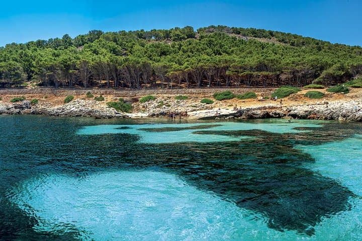Sail the Egadi Islands: Favignana & Levanzo Day Trip from Trapani photo 3