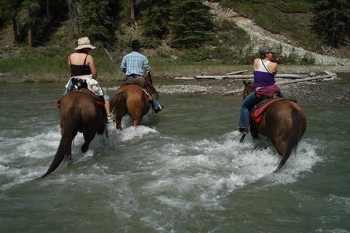 Horseback Riding in Marmaris National Park: 2-Hour Guided Ride with Transfer photo 4
