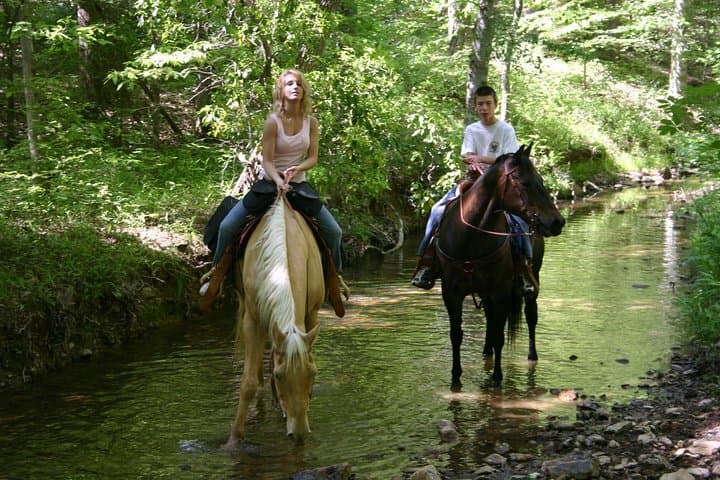 Horseback Riding in Marmaris National Park: 2-Hour Guided Ride with Transfer