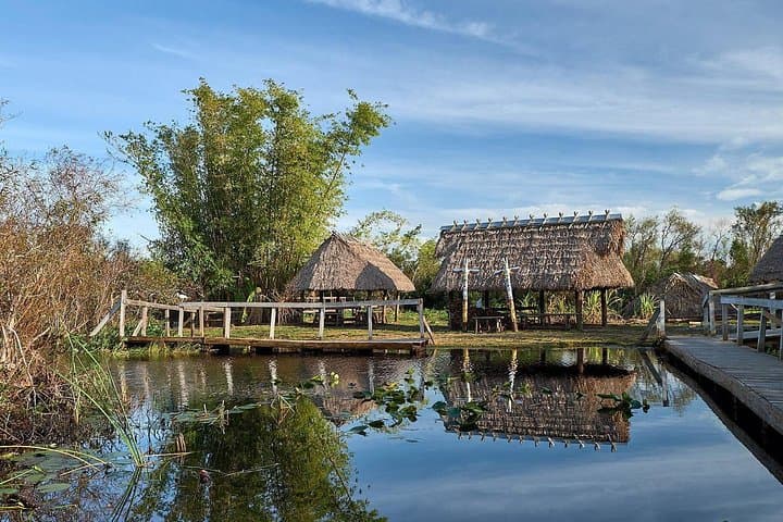Everglades Eco Adventure: Biologist-Guided Wet Walk, 10,000 Islands & Airboat Tours photo 3