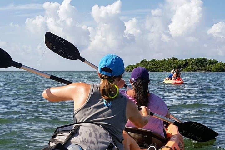 Florida Keys Eco Paddle & Snorkel: Kayak Mangroves to Coral Reef photo 4