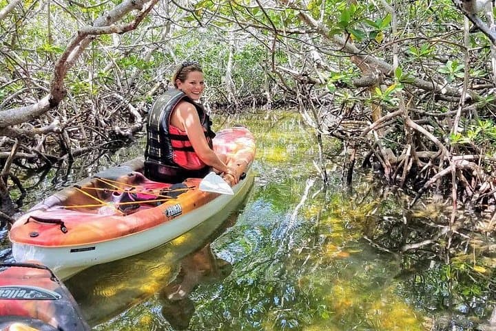 Florida Keys Eco Paddle & Snorkel: Kayak Mangroves to Coral Reef photo 3