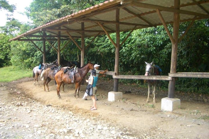 Horseback to La Fortuna Waterfall from Arenal — Scenic Horse Ride & Waterfall Swim photo 5