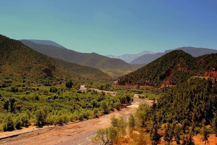 Ourika Valley Day Trip from Marrakech – Setti Fatma Waterfalls & Berber Village Experience photo 4