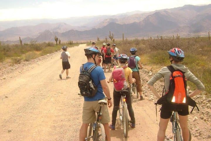 3-Day Cachi, Laguna Brealito & Los Cardones: High-Altitude Cacti, Cycling and ATVs photo 2