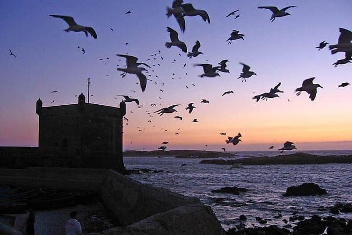 4-Day Essaouira Escape — Astapor & Atlantic Coast (Game of Thrones Sites) photo 1