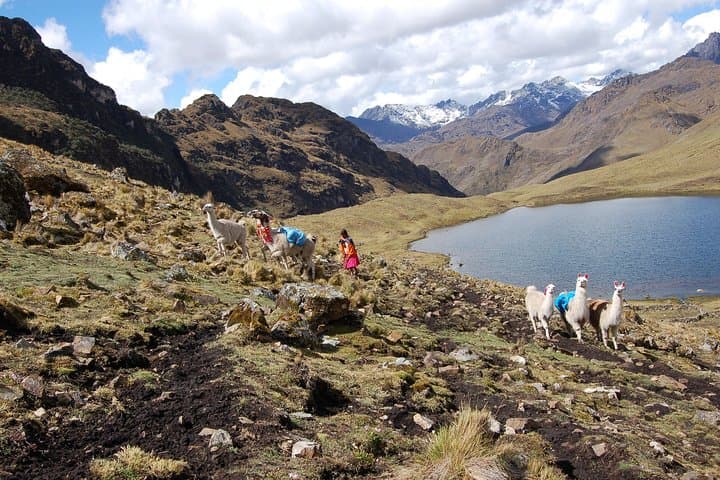Lares Trek to Machu Picchu: 4-Day Group Trek from Cusco