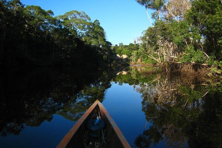 4-Day Cuyabeno Amazon Experience — Canoes, Jungle Hikes & Siona Community Visit