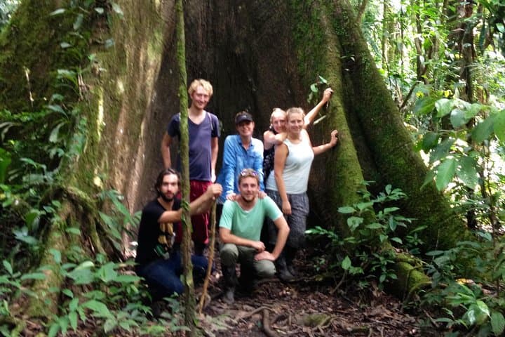 4-Day Cuyabeno Amazon Experience — Canoes, Jungle Hikes & Siona Community Visit photo 2
