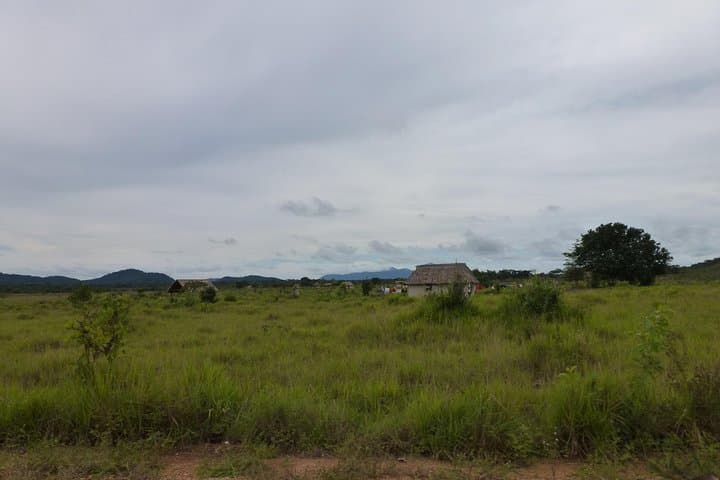 Rupununi Savanna and Kaieteur Falls: 8-Day Adventure from Georgetown photo 3