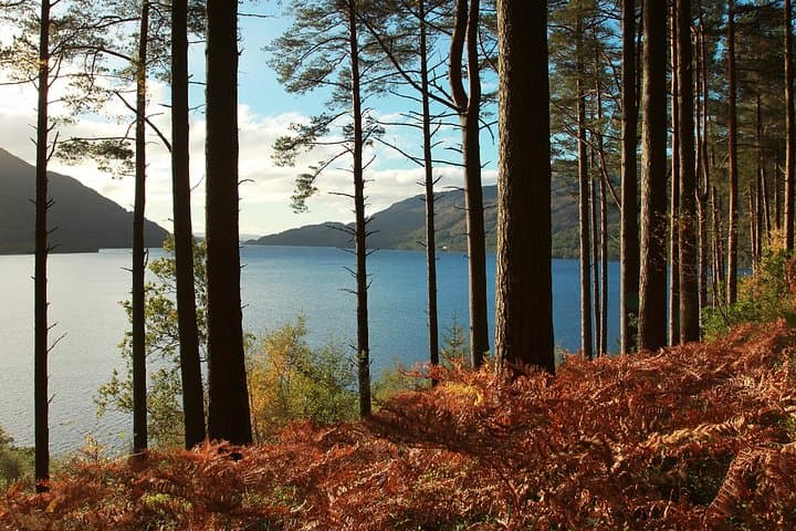Loch Lomond, Kelpies & Stirling Castle Day Tour from Edinburgh photo 5