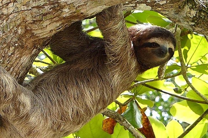 9-Day Costa Rica: Volcanoes, Cloud Forests & Pacific Beaches